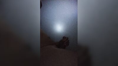 Leaked convictfreakz tiktoker Social Star porn movie